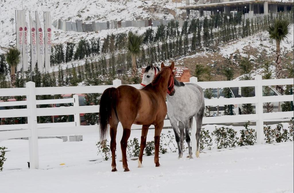 Pelikan Hotel Büyükçekmece Esterno foto